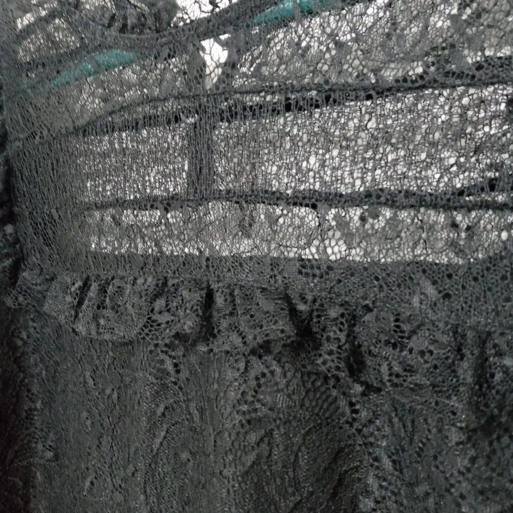 Zara Trafaluc Sheer Lace Long Sleeve Blouse Buttons in Back Of Neck